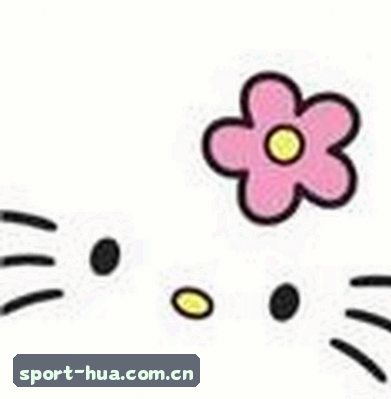 张磊